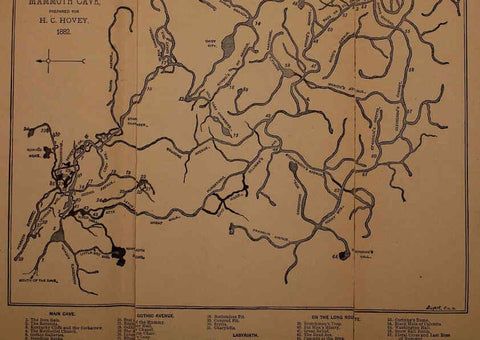 Reproducción/Reproduction 6124703770: The cave fauna of North America Washington,National Academy of Sciences,1888