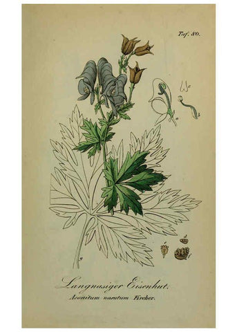 Reproducción/Reproduction 6130313985: Sämmtliche Giftgewächse Deutschlands Leipzig :F. Voight,1854