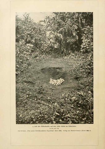Reproducción/Reproduction 6139675241: Brehms Tierleben. Bd.1 Leipzig,Bibliographisches Institut,1911-19- 