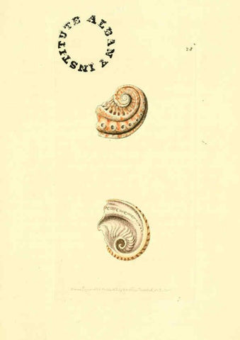 Reproducción/Reproduction 6127023765: The zoological miscellany. v.1. London :Printed by B. McMillan for E. Nodder & Son and sold by all booksellers,1814-1817