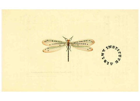 Reproducción/Reproduction 6127024287: The zoological miscellany. v.1. London :Printed by B. McMillan for E. Nodder & Son and sold by all booksellers,1814-1817