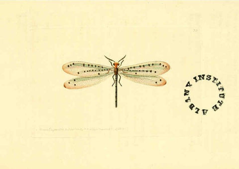 Reproducción/Reproduction 6127024287: The zoological miscellany. v.1. London :Printed by B. McMillan for E. Nodder & Son and sold by all booksellers,1814-1817