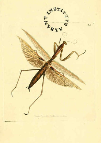 Reproducción/Reproduction 6127572848: The zoological miscellany. v.1. London :Printed by B. McMillan for E. Nodder & Son and sold by all booksellers,1814-1817