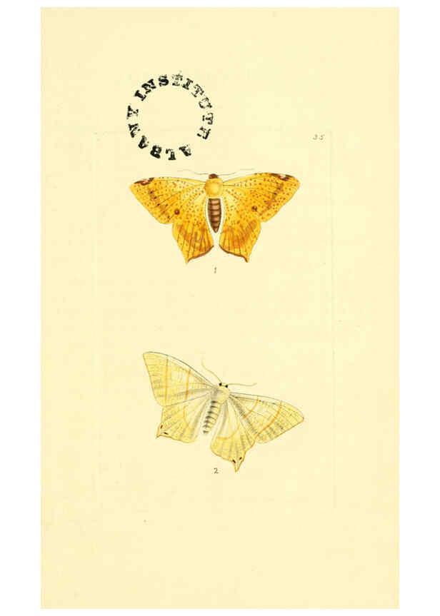 Reproducción/Reproduction 6127025539: The zoological miscellany. v.1. London :Printed by B. McMillan for E. Nodder & Son and sold by all booksellers,1814-1817