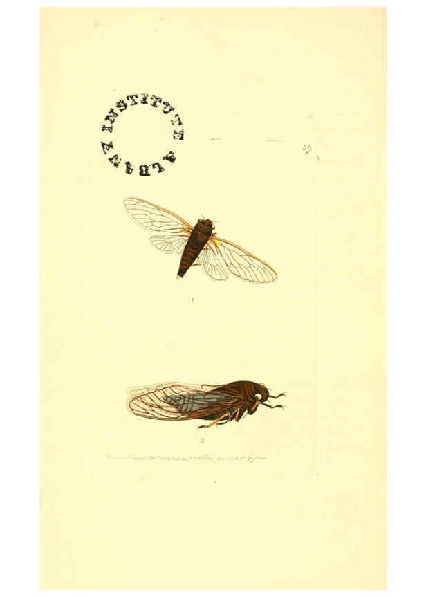 Reproducción/Reproduction 6127574300: The zoological miscellany. v.1. London :Printed by B. McMillan for E. Nodder & Son and sold by all booksellers,1814-1817