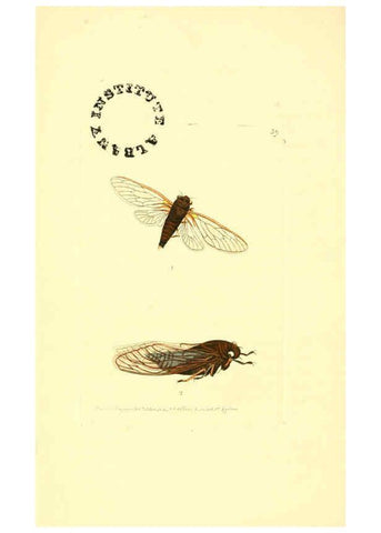 Reproducción/Reproduction 6127574300: The zoological miscellany. v.1. London :Printed by B. McMillan for E. Nodder & Son and sold by all booksellers,1814-1817