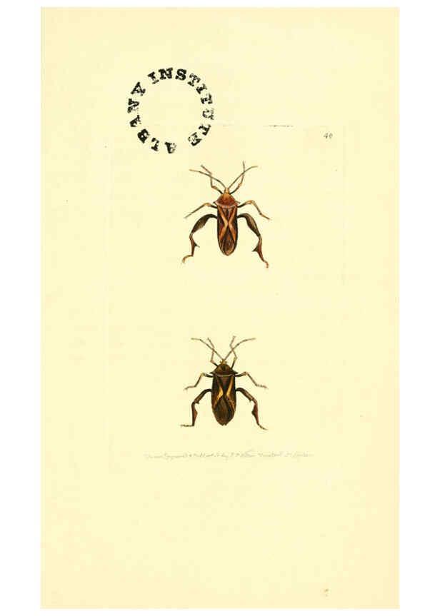 Reproducción/Reproduction 6127027109: The zoological miscellany. v.1. London :Printed by B. McMillan for E. Nodder & Son and sold by all booksellers,1814-1817