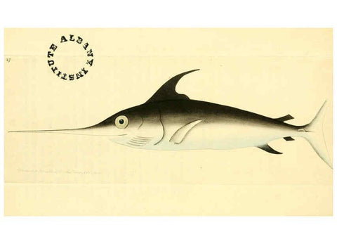 Reproducción/Reproduction 6127023529: The zoological miscellany. v.1. London :Printed by B. McMillan for E. Nodder & Son and sold by all booksellers,1814-1817