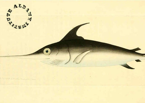 Reproducción/Reproduction 6127023529: The zoological miscellany. v.1. London :Printed by B. McMillan for E. Nodder & Son and sold by all booksellers,1814-1817
