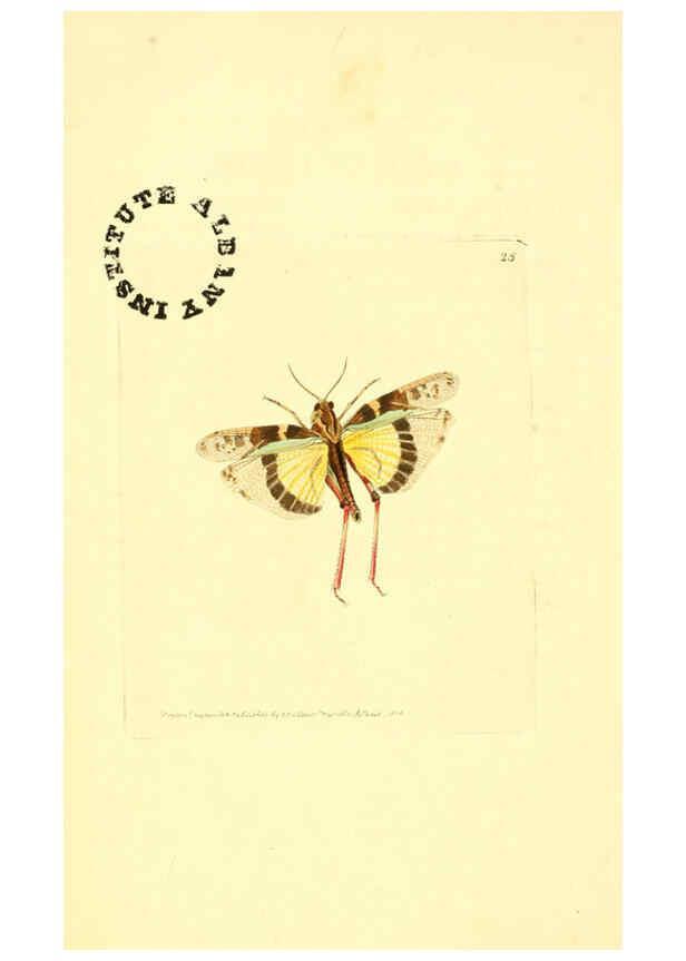 Reproducción/Reproduction 6127570738: The zoological miscellany. v.1. London :Printed by B. McMillan for E. Nodder & Son and sold by all booksellers,1814-1817