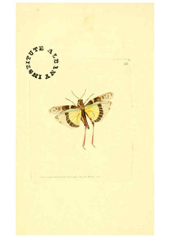 Reproducción/Reproduction 6127570738: The zoological miscellany. v.1. London :Printed by B. McMillan for E. Nodder & Son and sold by all booksellers,1814-1817