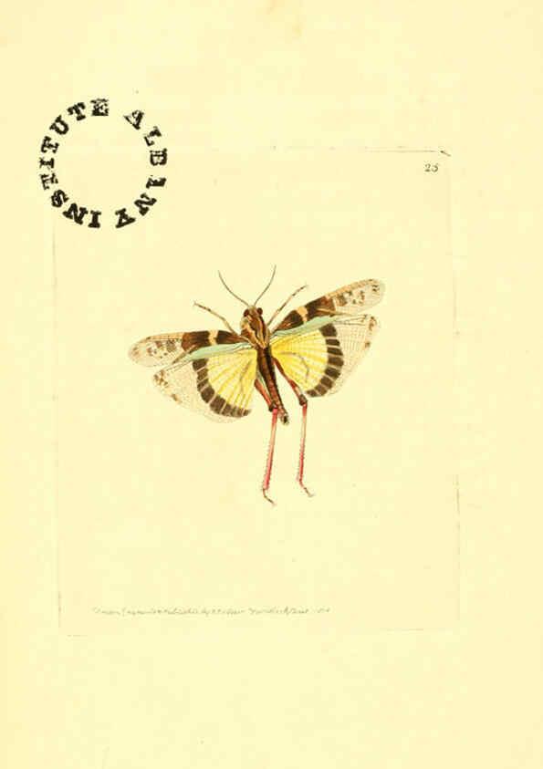 Reproducción/Reproduction 6127570738: The zoological miscellany. v.1. London :Printed by B. McMillan for E. Nodder & Son and sold by all booksellers,1814-1817