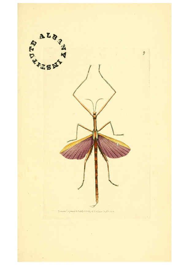 Reproducción/Reproduction 6127017861: The zoological miscellany. v.1. London :Printed by B. McMillan for E. Nodder & Son and sold by all booksellers,1814-1817