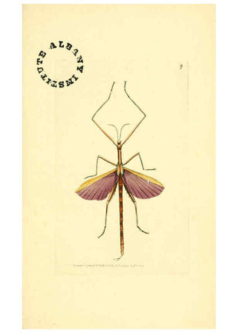 Reproducción/Reproduction 6127017861: The zoological miscellany. v.1. London :Printed by B. McMillan for E. Nodder & Son and sold by all booksellers,1814-1817