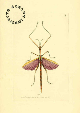 Reproducción/Reproduction 6127017861: The zoological miscellany. v.1. London :Printed by B. McMillan for E. Nodder & Son and sold by all booksellers,1814-1817