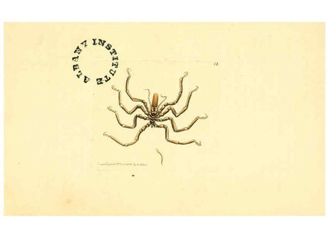 Reproducción/Reproduction 6127019091: The zoological miscellany. v.1. London :Printed by B. McMillan for E. Nodder & Son and sold by all booksellers,1814-1817