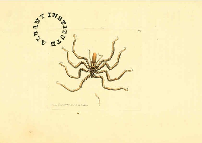 Reproducción/Reproduction 6127019091: The zoological miscellany. v.1. London :Printed by B. McMillan for E. Nodder & Son and sold by all booksellers,1814-1817
