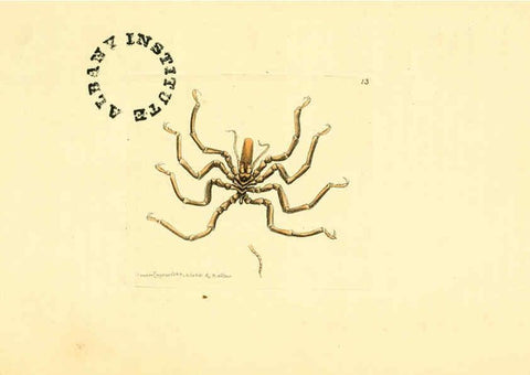 Reproducción/Reproduction 6127019091: The zoological miscellany. v.1. London :Printed by B. McMillan for E. Nodder & Son and sold by all booksellers,1814-1817