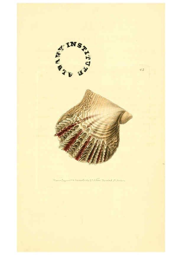 Reproducción/Reproduction 6127575444: The zoological miscellany. v.1. London :Printed by B. McMillan for E. Nodder & Son and sold by all booksellers,1814-1817