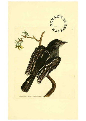 Reproducción/Reproduction 6127568214: The zoological miscellany. v.1. London :Printed by B. McMillan for E. Nodder & Son and sold by all booksellers,1814-1817