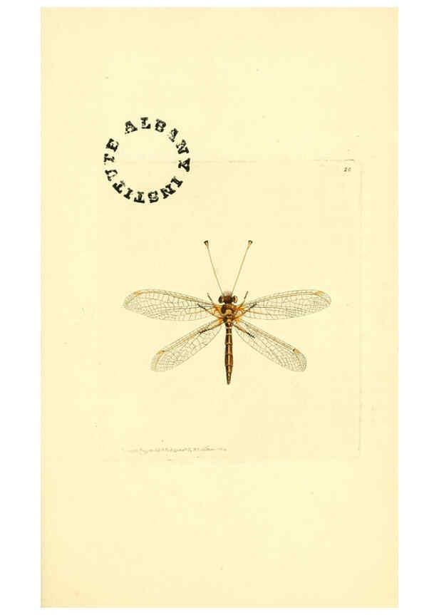 Reproducción/Reproduction 6127021485: The zoological miscellany. v.1. London :Printed by B. McMillan for E. Nodder & Son and sold by all booksellers,1814-1817