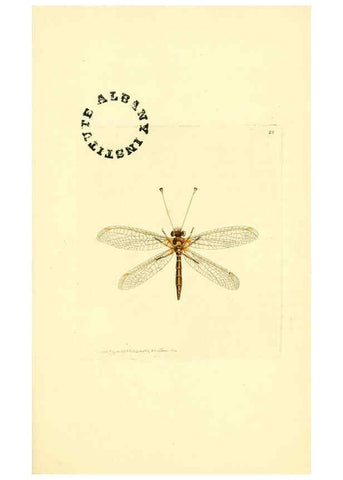 Reproducción/Reproduction 6127021485: The zoological miscellany. v.1. London :Printed by B. McMillan for E. Nodder & Son and sold by all booksellers,1814-1817