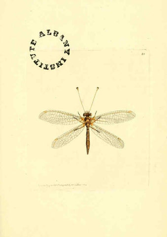 Reproducción/Reproduction 6127021485: The zoological miscellany. v.1. London :Printed by B. McMillan for E. Nodder & Son and sold by all booksellers,1814-1817