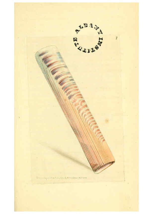 Reproducción/Reproduction 6127564858: The zoological miscellany. v.1. London :Printed by B. McMillan for E. Nodder & Son and sold by all booksellers,1814-1817