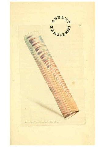 Reproducción/Reproduction 6127564858: The zoological miscellany. v.1. London :Printed by B. McMillan for E. Nodder & Son and sold by all booksellers,1814-1817