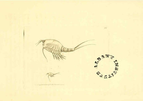 Reproducción/Reproduction 6127028327: The zoological miscellany. v.1. London :Printed by B. McMillan for E. Nodder & Son and sold by all booksellers,1814-1817