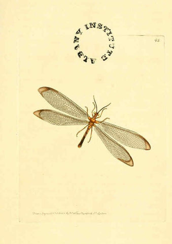 Reproducción/Reproduction 6127576264: The zoological miscellany. v.1. London :Printed by B. McMillan for E. Nodder & Son and sold by all booksellers,1814-1817