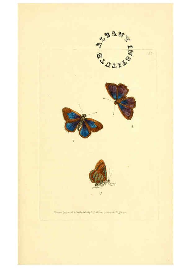 Reproducción/Reproduction 6127032723: The zoological miscellany. v.1. London :Printed by B. McMillan for E. Nodder & Son and sold by all booksellers,1814-1817
