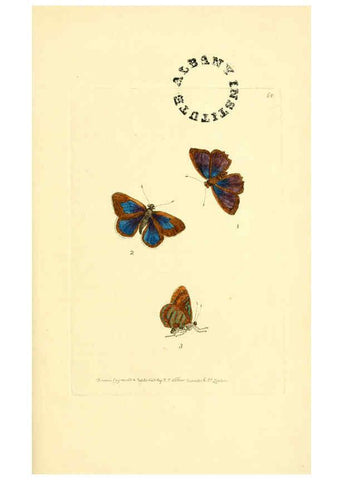 Reproducción/Reproduction 6127032723: The zoological miscellany. v.1. London :Printed by B. McMillan for E. Nodder & Son and sold by all booksellers,1814-1817