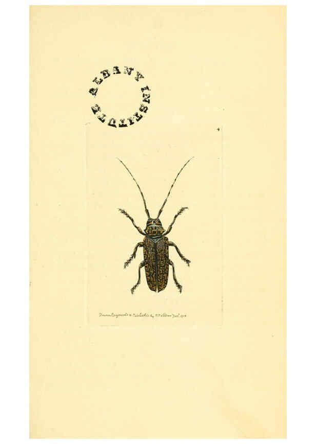 Reproducción/Reproduction 6127564042: The zoological miscellany. v.1. London :Printed by B. McMillan for E. Nodder & Son and sold by all booksellers,1814-1817