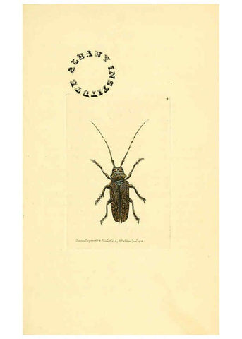 Reproducción/Reproduction 6127564042: The zoological miscellany. v.1. London :Printed by B. McMillan for E. Nodder & Son and sold by all booksellers,1814-1817