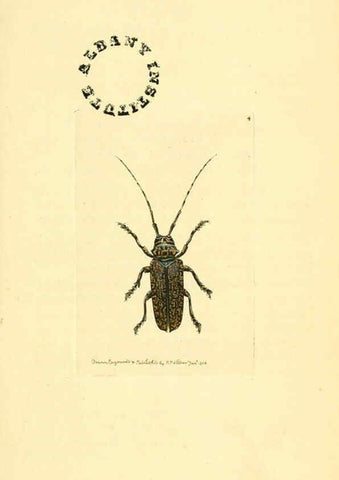 Reproducción/Reproduction 6127564042: The zoological miscellany. v.1. London :Printed by B. McMillan for E. Nodder & Son and sold by all booksellers,1814-1817