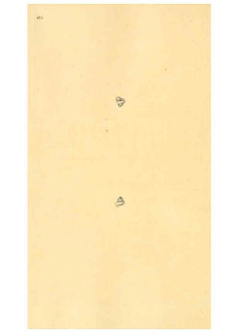 Reproducción/Reproduction 6127198710: The natural history of British shells. v.1-3. London :Printed for the Author, and for F.C. and J. Rivington, by Bye and Law,1800-1804