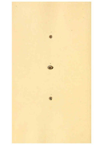 Reproducción/Reproduction 6126651295: The natural history of British shells. v.1-3. London :Printed for the Author, and for F.C. and J. Rivington, by Bye and Law,1800-1804