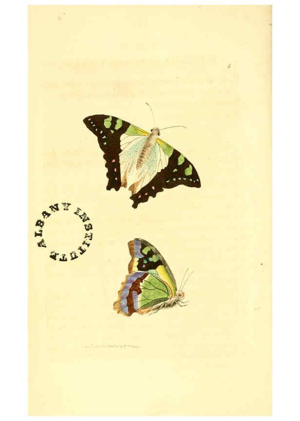 Reproducción/Reproduction 6127016741: The zoological miscellany. v.1. London :Printed by B. McMillan for E. Nodder & Son and sold by all booksellers,1814-1817