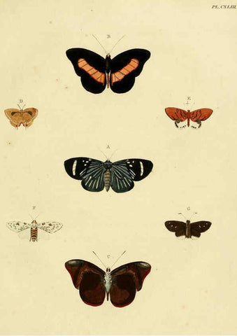 Reproducción/Reproduction 6127792222: De uitlandsche kapellen. v.2. A Amsteldam :Chez Barthelmy Wild,1779-1782 [i.e. 1775-1782] 