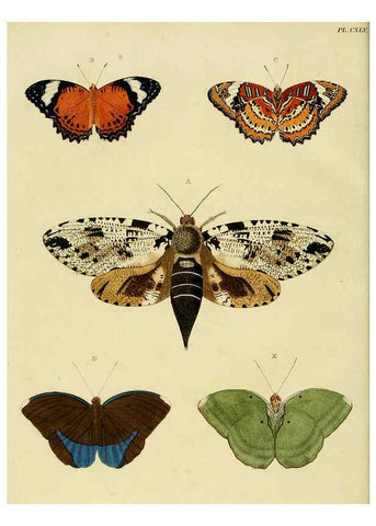 Reproducción/Reproduction 6127792652: De uitlandsche kapellen. v.2. A Amsteldam :Chez Barthelmy Wild,1779-1782 [i.e. 1775-1782] 