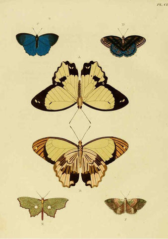 Reproducción/Reproduction 6127794154: De uitlandsche kapellen. v.2. A Amsteldam :Chez Barthelmy Wild,1779-1782 [i.e. 1775-1782] 
