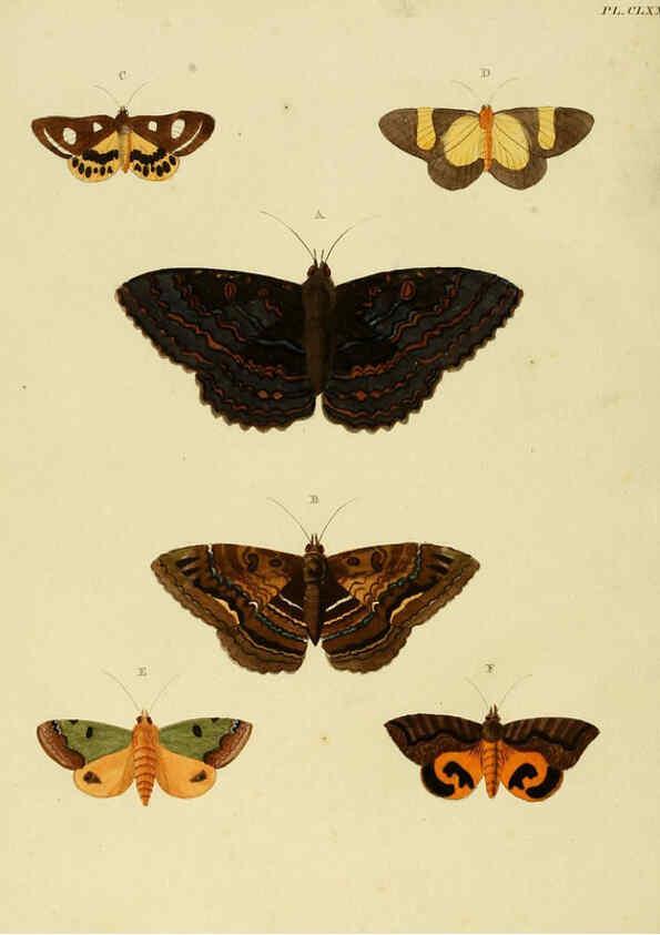 Reproducción/Reproduction 6127798928: De uitlandsche kapellen. v.2. A Amsteldam :Chez Barthelmy Wild,1779-1782 [i.e. 1775-1782] 