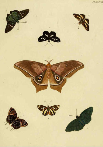 Reproducción/Reproduction 6127251411: De uitlandsche kapellen. v.2. A Amsteldam :Chez Barthelmy Wild,1779-1782 [i.e. 1775-1782] 