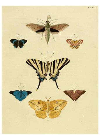 Reproducción/Reproduction 6127246277: De uitlandsche kapellen. v.2. A Amsteldam :Chez Barthelmy Wild,1779-1782 [i.e. 1775-1782] 