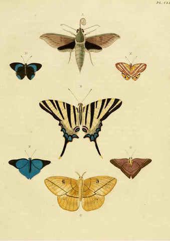Reproducción/Reproduction 6127246277: De uitlandsche kapellen. v.2. A Amsteldam :Chez Barthelmy Wild,1779-1782 [i.e. 1775-1782] 