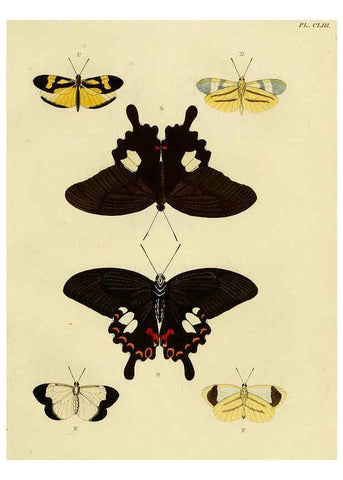 Reproducción/Reproduction 6127794760: De uitlandsche kapellen. v.2. A Amsteldam :Chez Barthelmy Wild,1779-1782 [i.e. 1775-1782] 