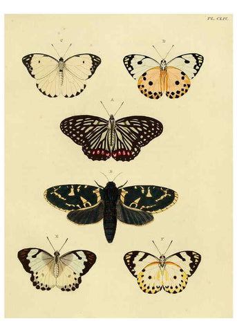 Reproducción/Reproduction 6127246737: De uitlandsche kapellen. v.2. A Amsteldam :Chez Barthelmy Wild,1779-1782 [i.e. 1775-1782] 