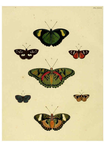 Reproducción/Reproduction 6127247209: De uitlandsche kapellen. v.2. A Amsteldam :Chez Barthelmy Wild,1779-1782 [i.e. 1775-1782] 