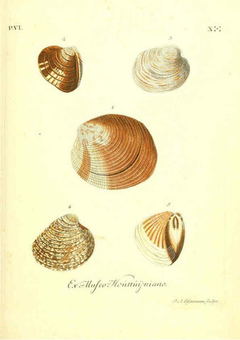 Reproducción/Reproduction 6096118047: Vergnügen der Augen und des Gemüths. v.2 atlas. [Nuremberg :1757